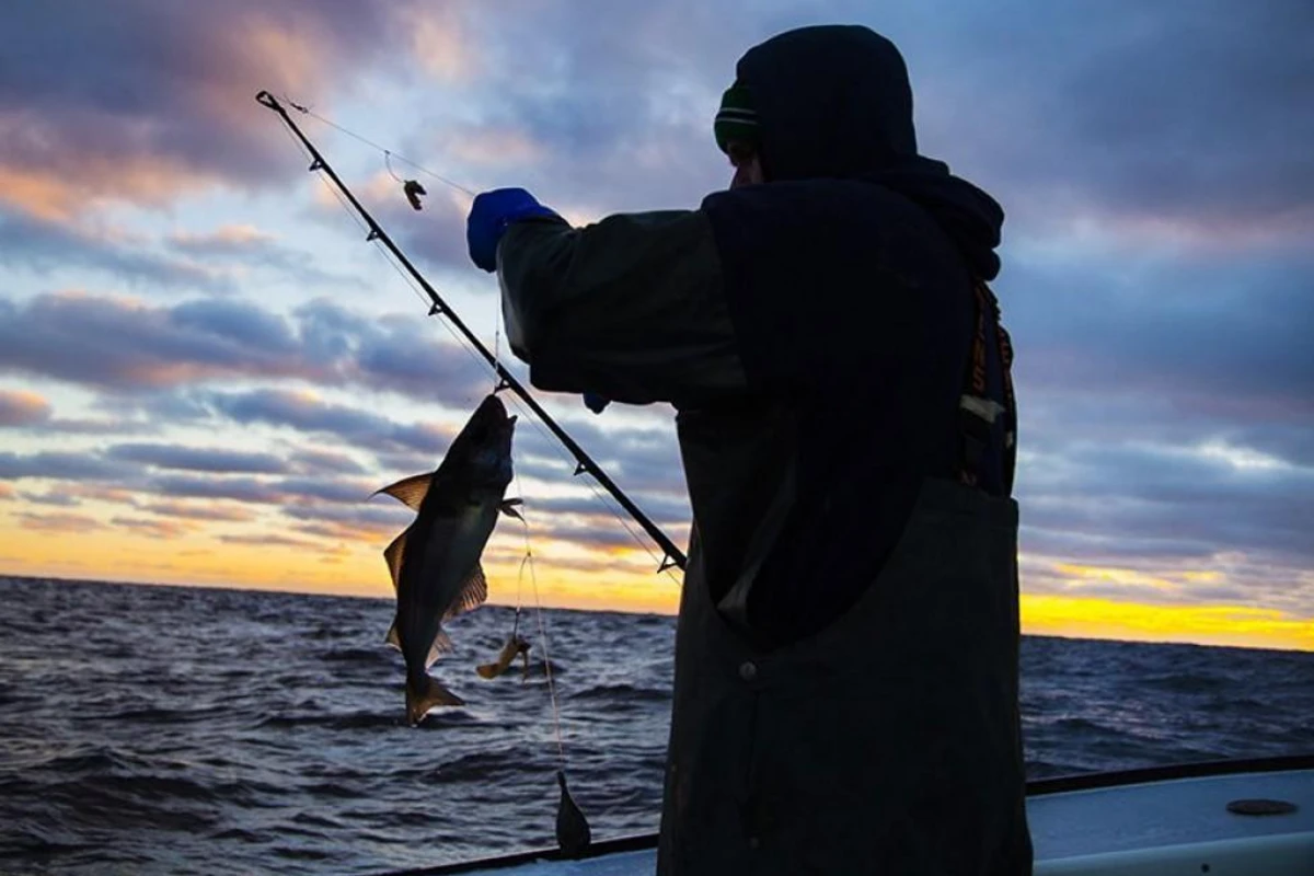 Azərbaycanda sentyabrın 1-dən balıq ovuna icazə veriləcək