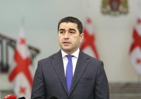 Gürcü spiker: ABŞ-nin təşkilatı ölkəmizdə siyasi qarışıqlıq üçün fəaliyyət göstərib