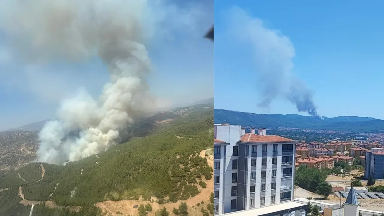 Türkiyədə eyni vaxtda daha iki meşədə yanğın oldu - VİDEO