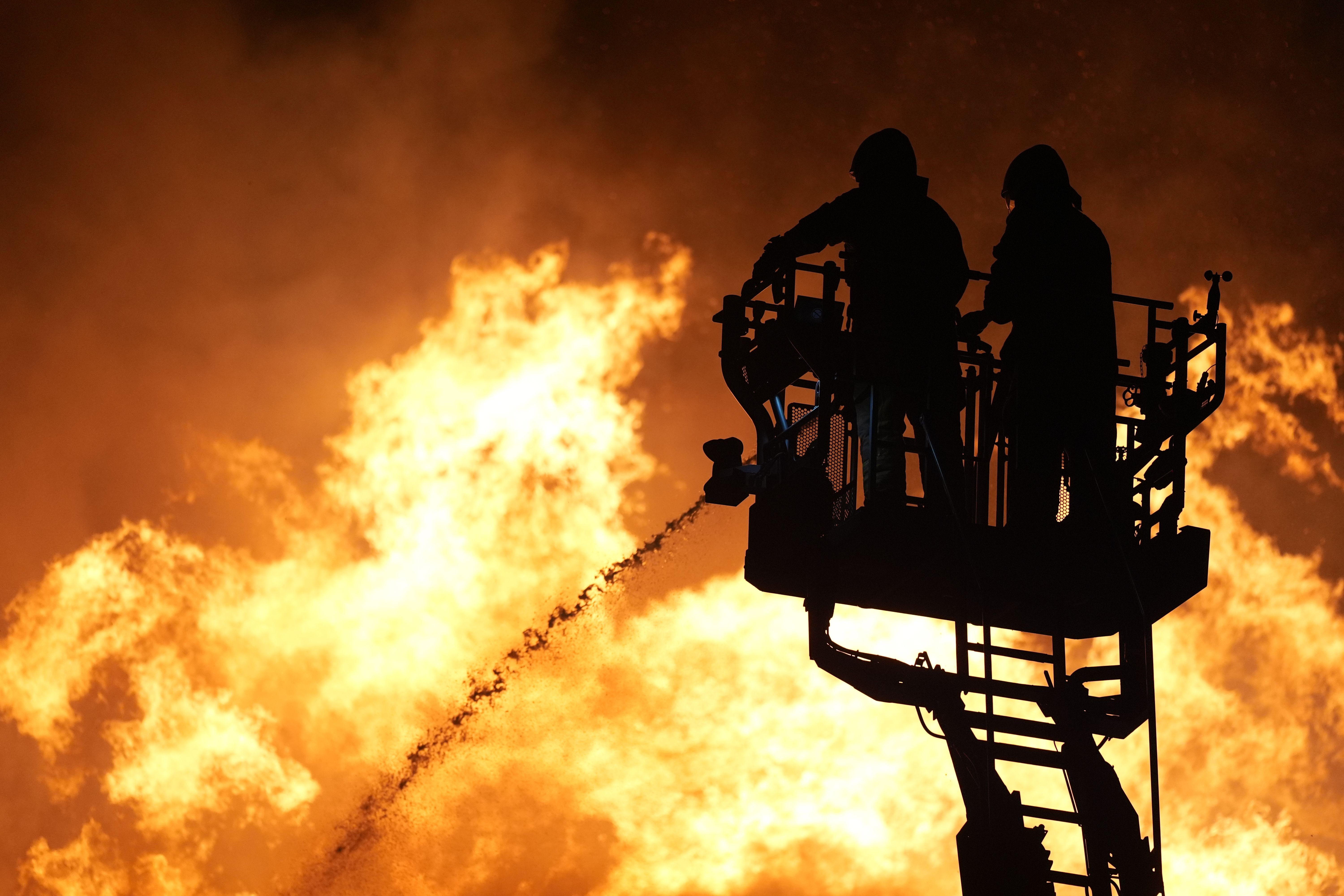 Türkiyənin daha 2 vilayətində meşə yanğınları nəzarət altına alındı